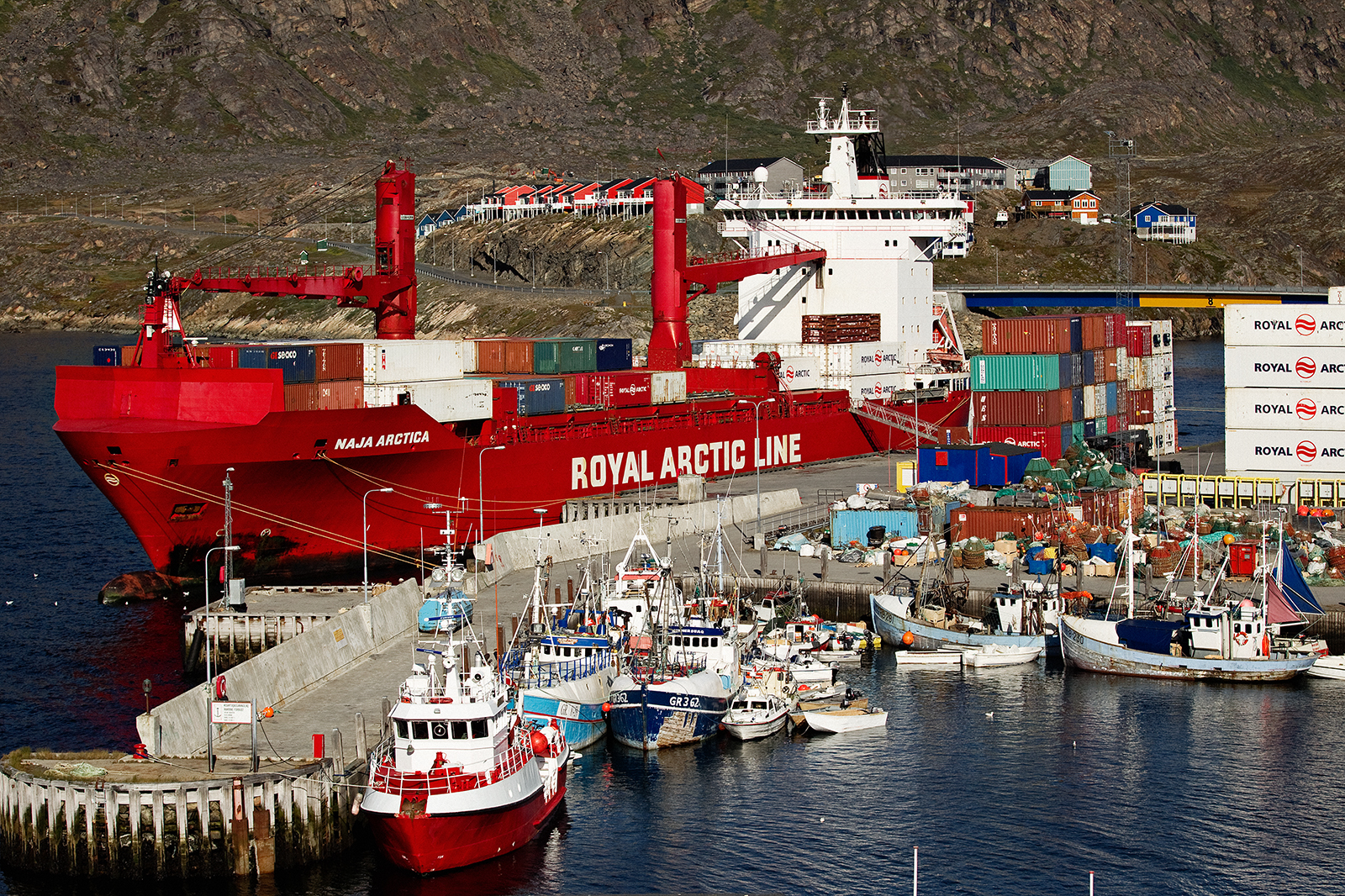 Arctic Line : Naja arctica royal arctic line