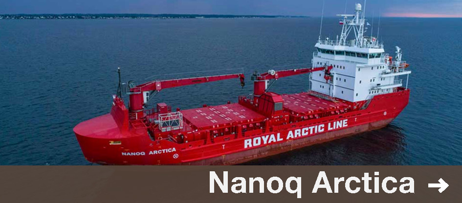 Nanoq Arctica