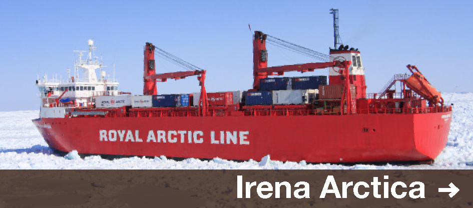 Irena Arctica
